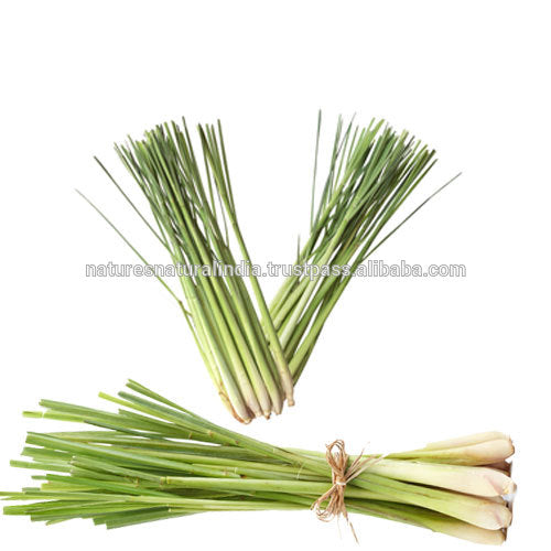 100% Natural Pure Lemongrass Oil For Aromatherapy Use